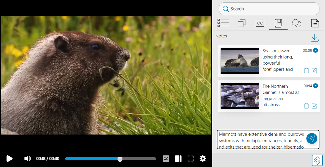 screen capture showing notes added in the Notes pane of the YuJa media player.